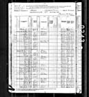 1880 Felix Earley Census