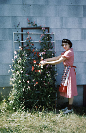 01 Adele Flowers 1