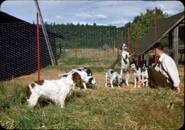 07 Fran and Pups