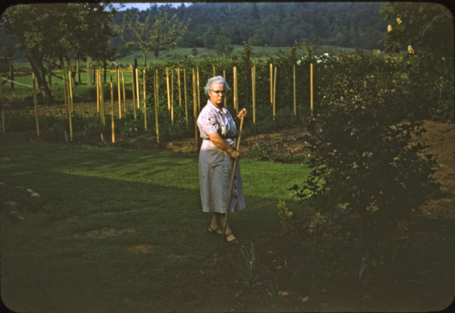 29b Who - Aunt Frant