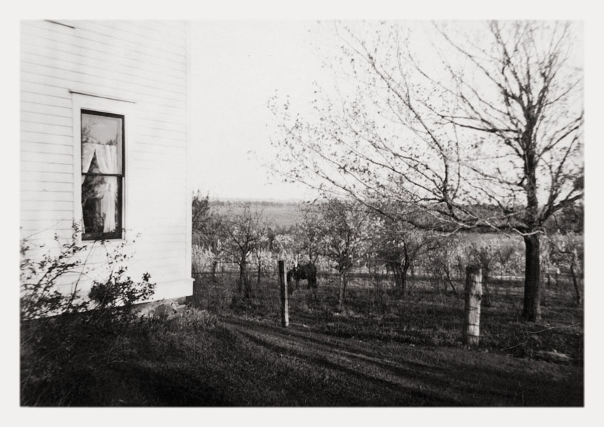 Farm Backyard